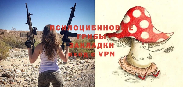 молекула духа Алексин