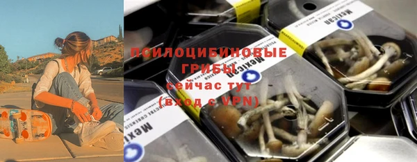 молекула духа Алексин