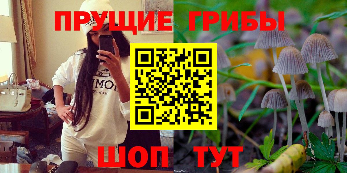 что такое   Вход с VPN  Тавда  Галлюциногенные грибы MAGIC MUSHROOMS 