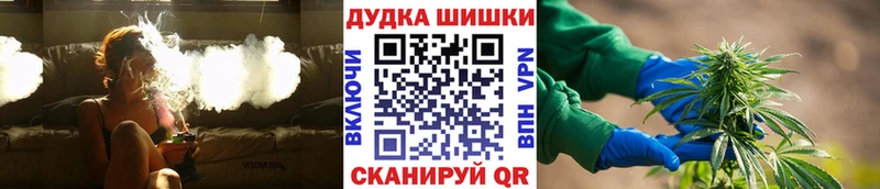 mega ссылки  где продают наркотики  Тавда  Бошки марихуана ГИДРОПОН 
